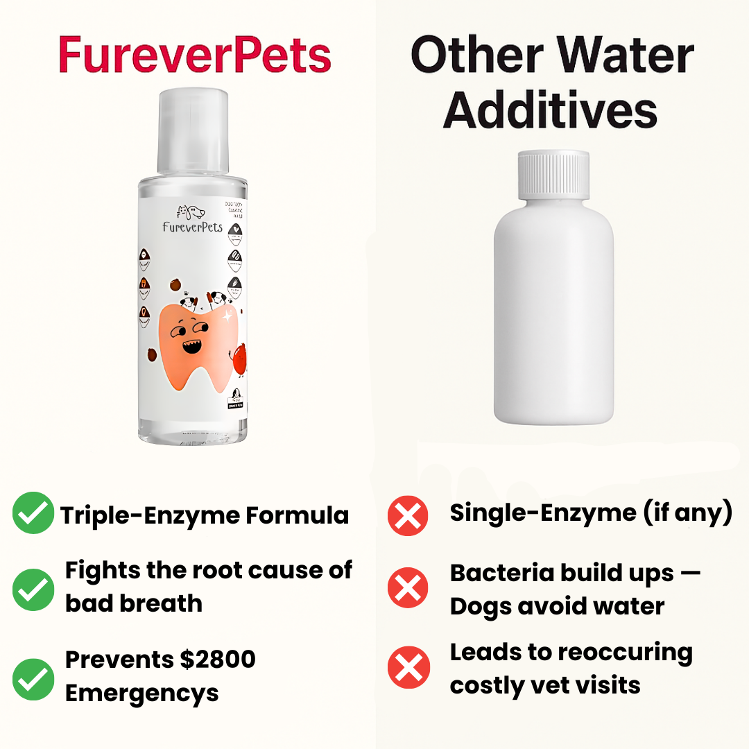 FureverPets Cat Water Additive