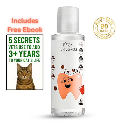 FureverPets Cat Water Additive