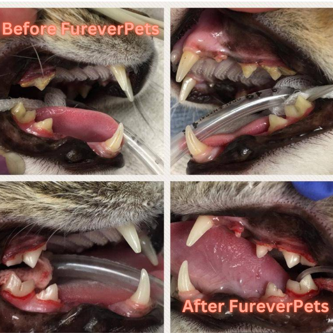 FureverPets Cat Water Additive