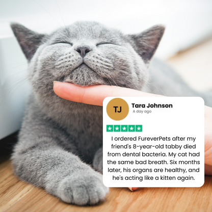 FureverPets Cat Water Additive