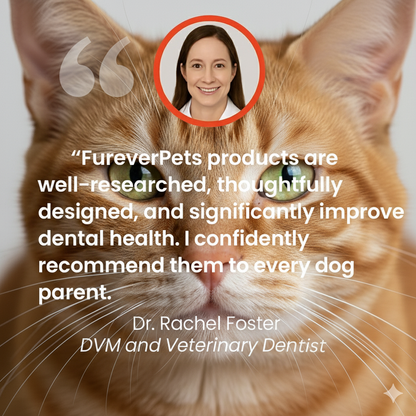 FureverPets Cat Water Additive