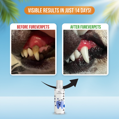 FureverPets Vet Grade Water Additive
